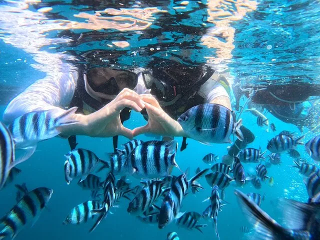 Two snorkelers making a heart shape with their hands among striped fish