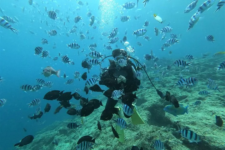 Sporttaucher, der auf dem Meeresboden kniet und von einem großen Fischschwarm umgeben ist