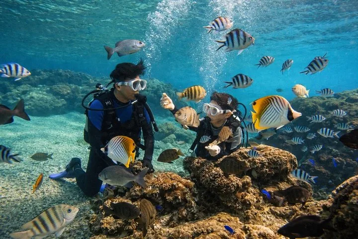 Person holding a sign underwater surrounded by fish in clear blue ocean