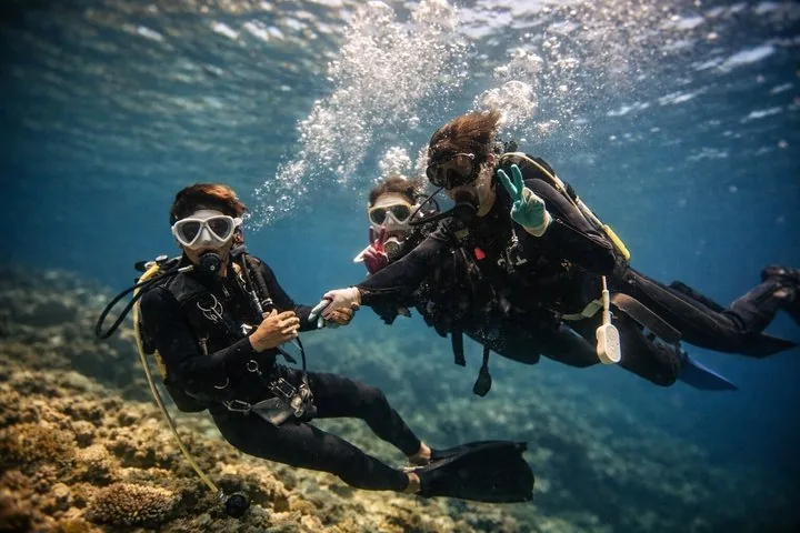 Scuba diver interacting with colorful fish on a shallow reef