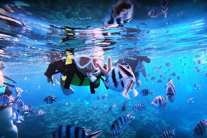 Person snorkeling underwater making a peace sign surrounded by numerous fish